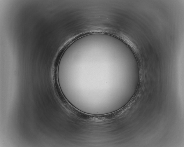X0000116510346200912090952