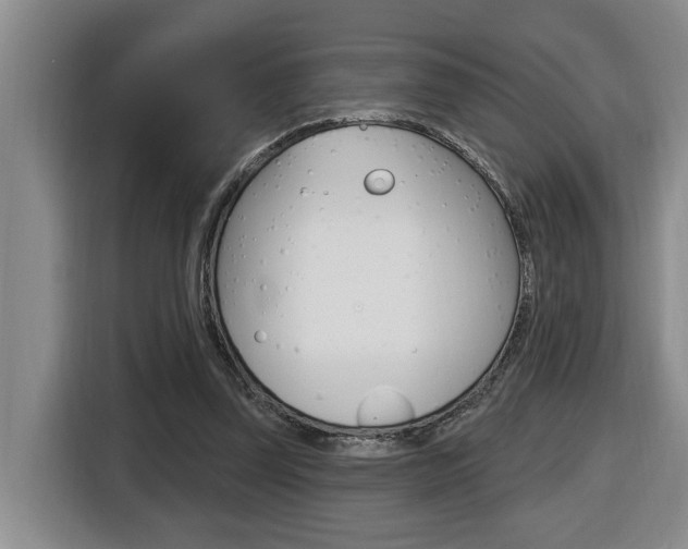 X0000116510347200912090952