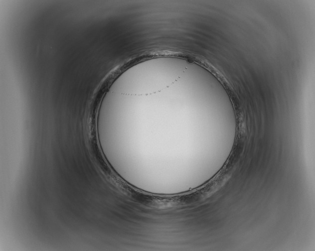 X0000116510351200912090952