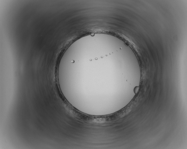 X0000116510353200912090952