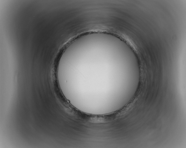 X0000116510354200912090952