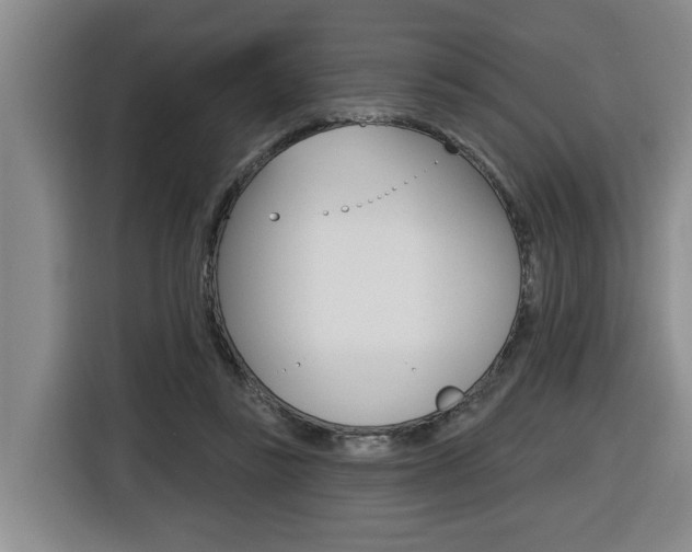 X0000116510355200912090952