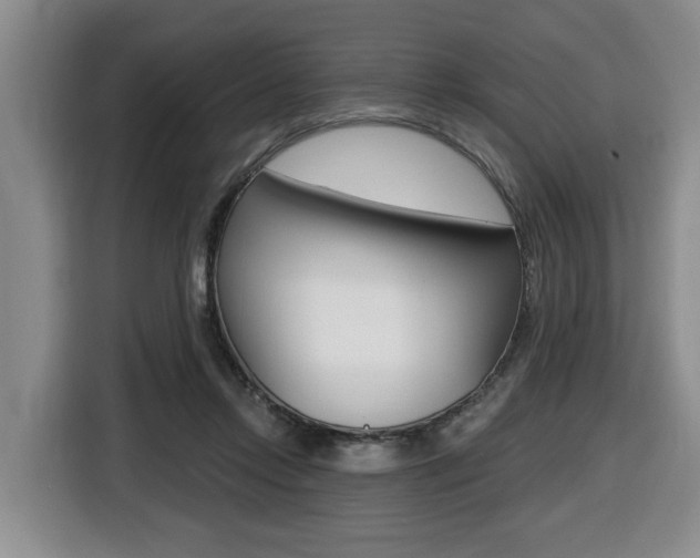 X0000116510358200912090952