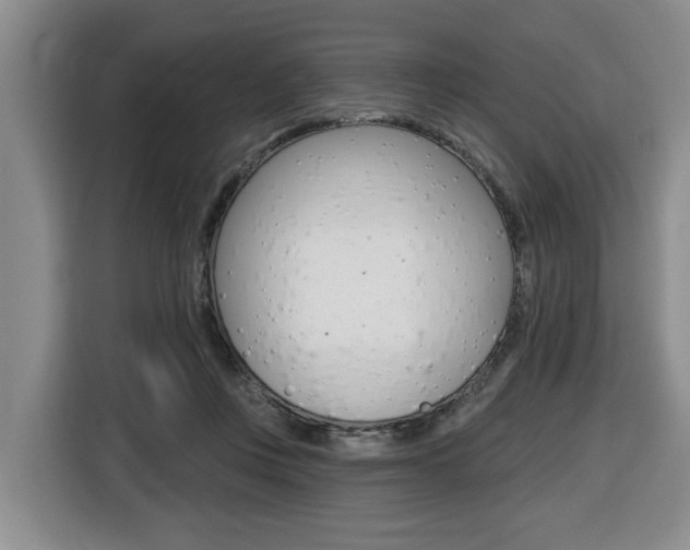 X0000116510359200912090952