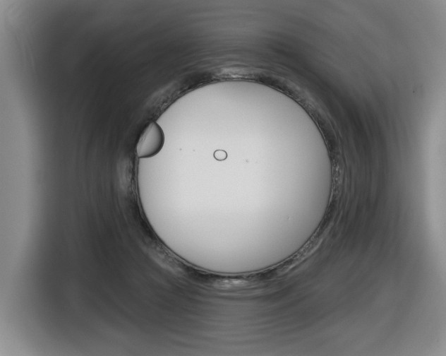 X0000116510361200912090952