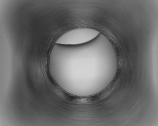 X0000116510365200912090952