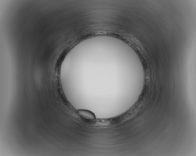 X0000116510369200912090952