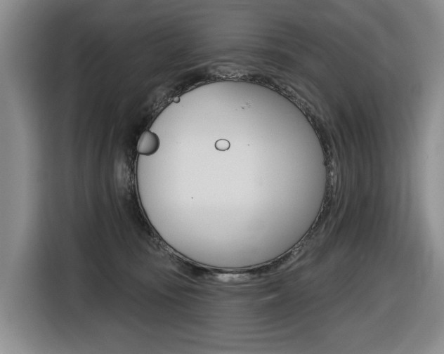 X0000116510371200912090952