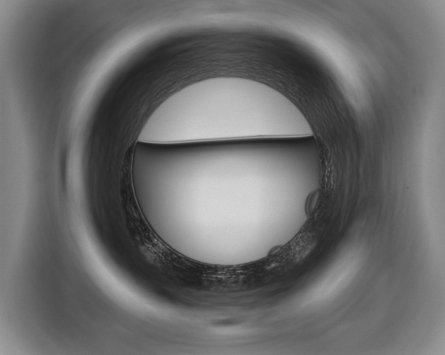 X0000116510383200912090952