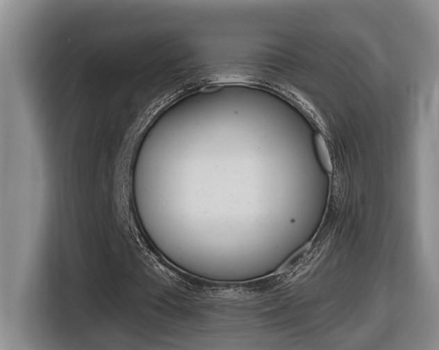X0000116510385200912090951