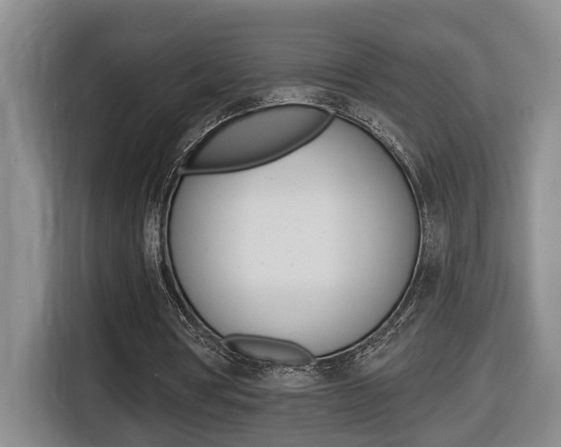 X0000116510386200912090951