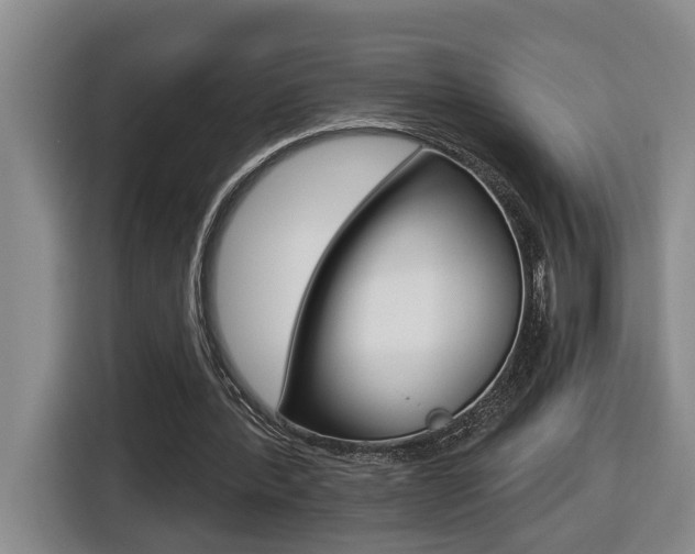 X0000116510388200912090951