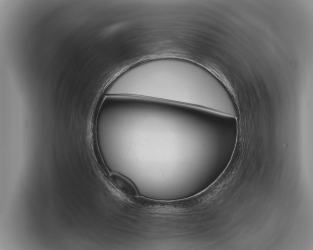 X0000116510389200912090951