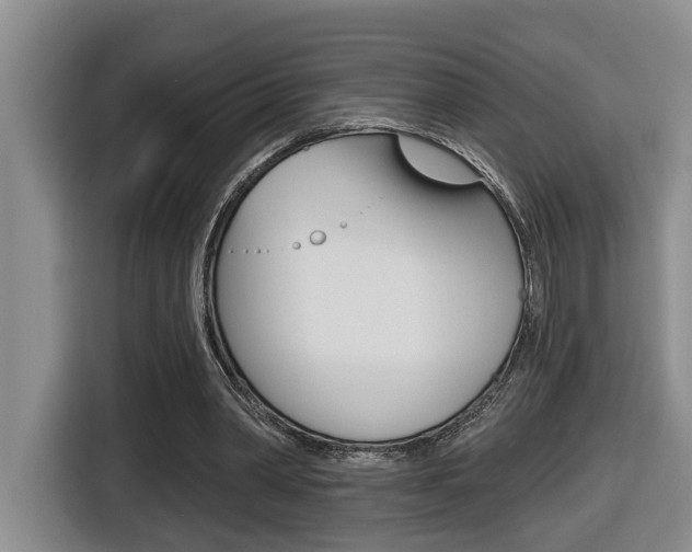 X0000116510390200912090951