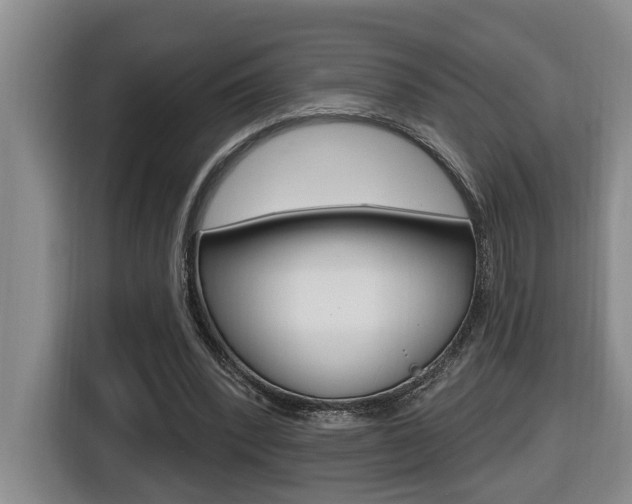 X0000116510392200912090951
