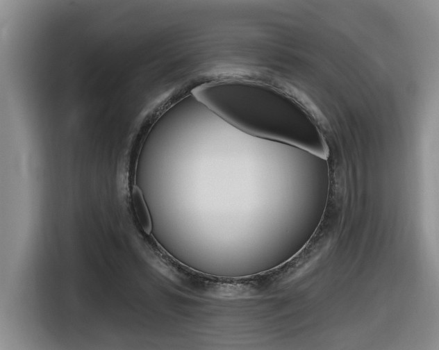 X0000116510399200912090951