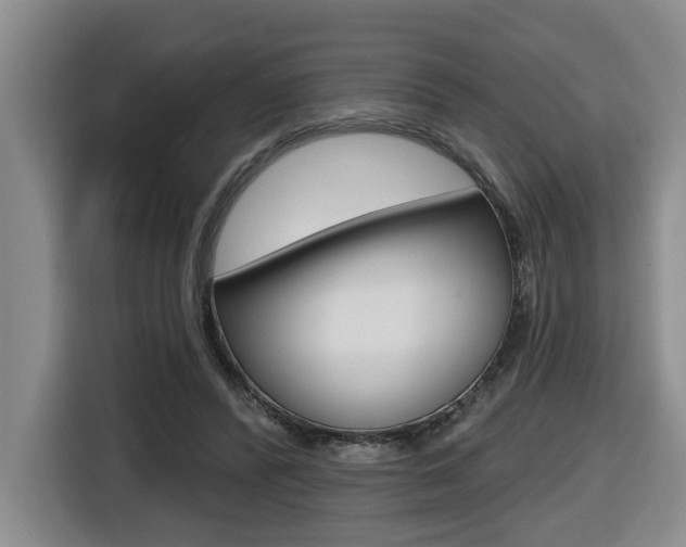 X0000116510400200912090951