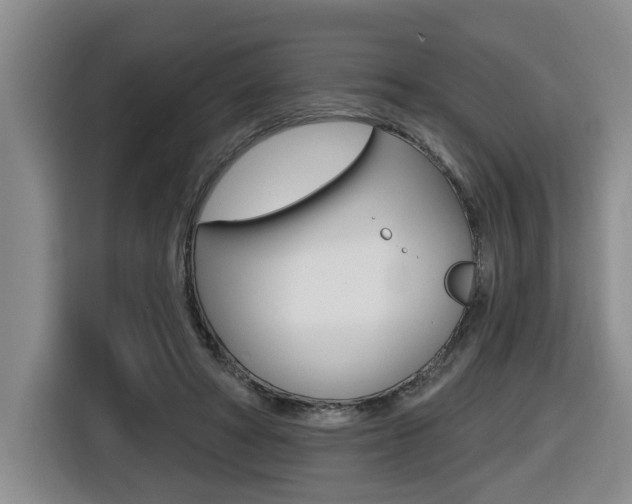 X0000116510402200912090951