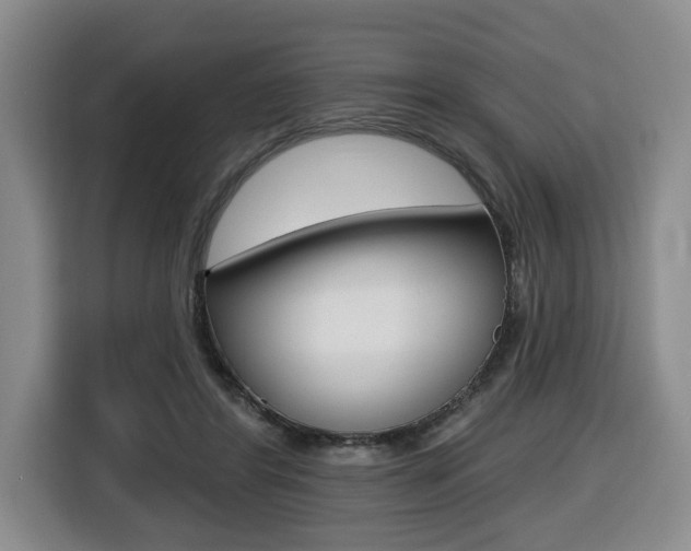 X0000116510404200912090951
