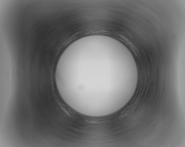 X0000116510405200912090951