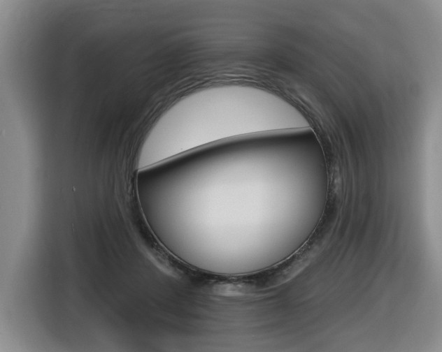 X0000116510408200912090951