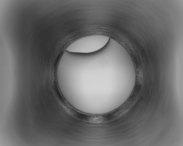 X0000116510410200912090951