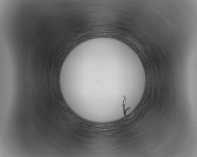X0000116510417200912090951