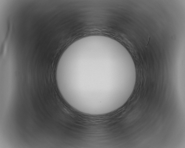 X0000116510419200912090951