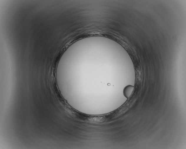 X0000116510422200912090951