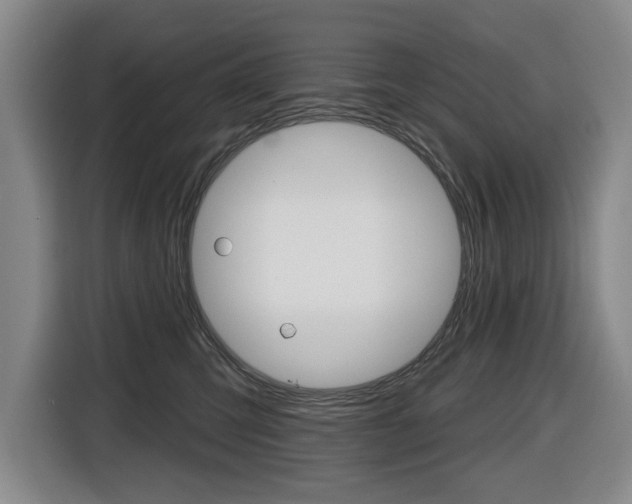 X0000116510423200912090951
