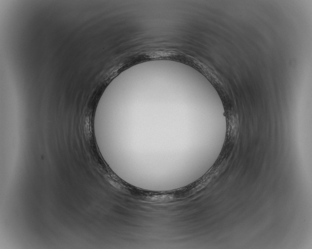 X0000116510426200912090951