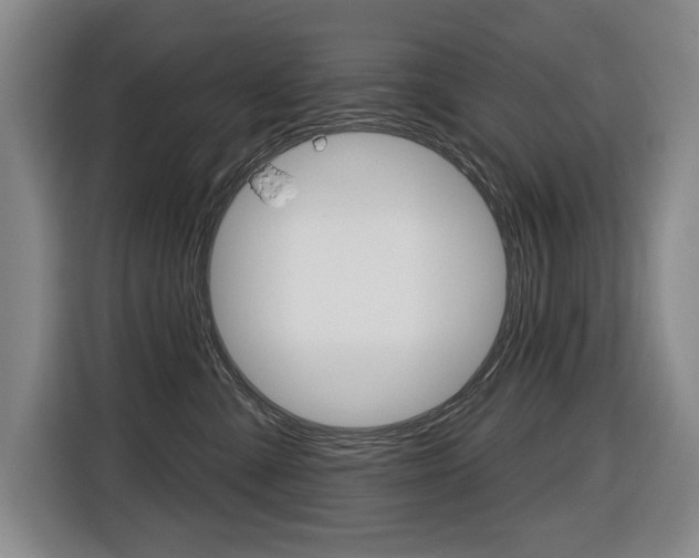 X0000116510427200912090951