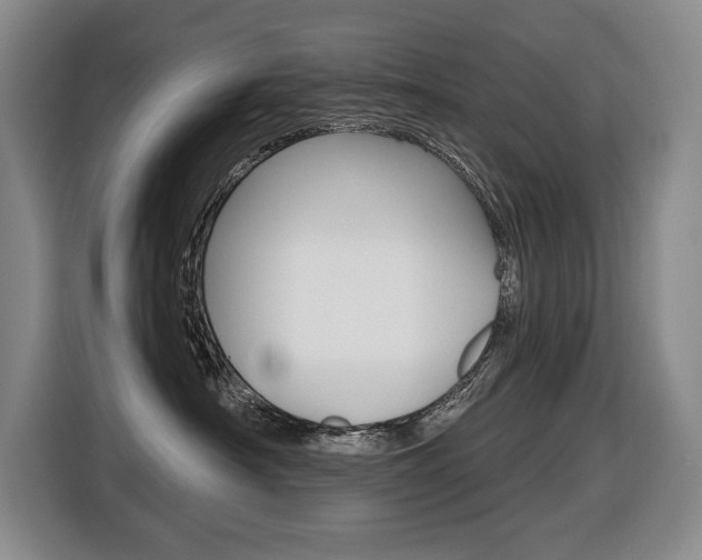 X0000116510430200912090951