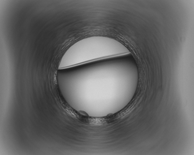 X0000116510432200912090951