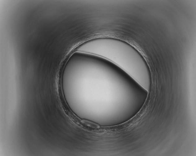 X0000116510434200912090950
