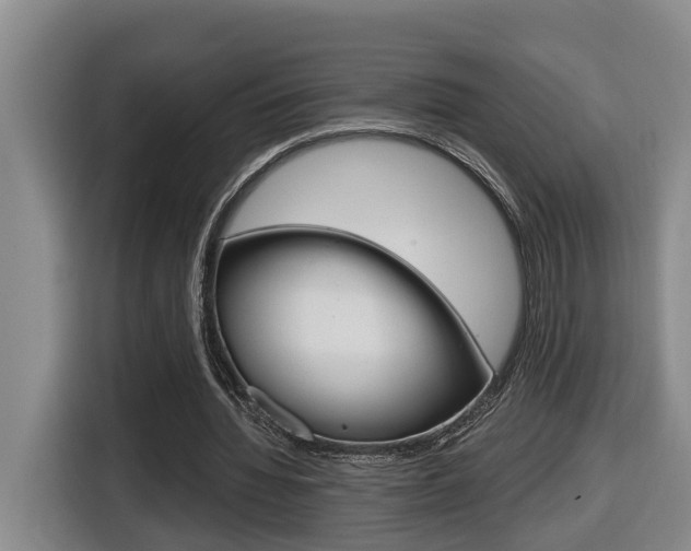 X0000116510436200912090950