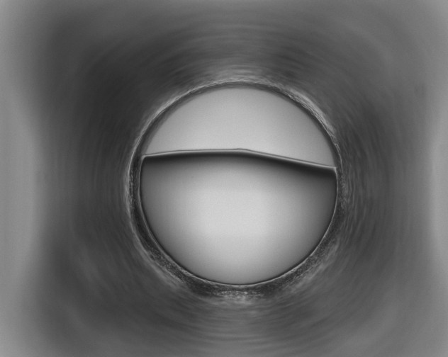 X0000116510439200912090950