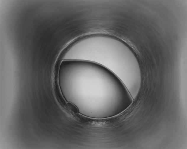 X0000116510440200912090950