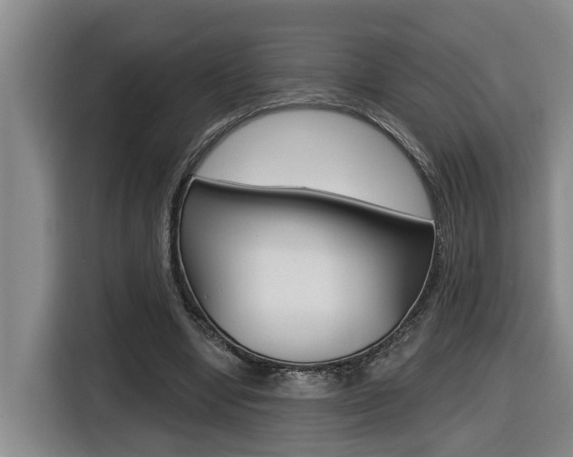 X0000116510442200912090950