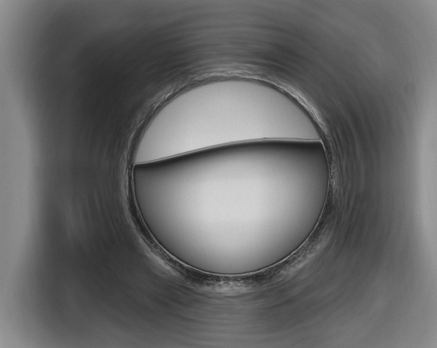 X0000116510445200912090950