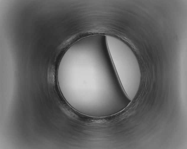 X0000116510446200912090950