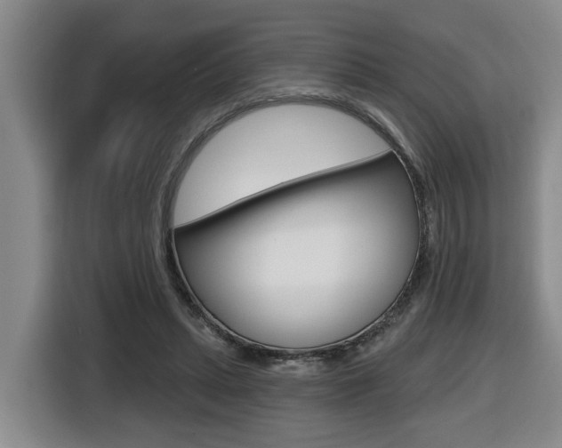 X0000116510447200912090950