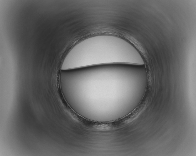 X0000116510449200912090950