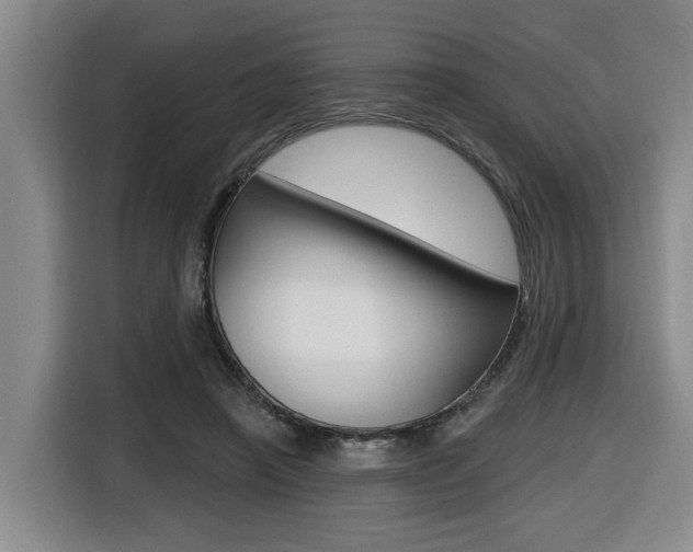 X0000116510450200912090950