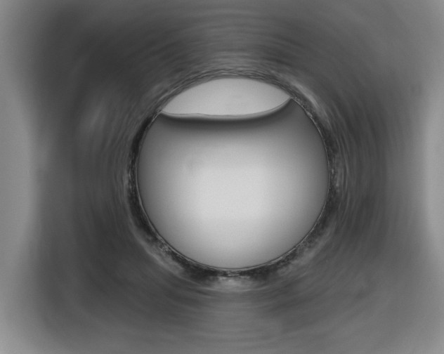 X0000116510455200912090950