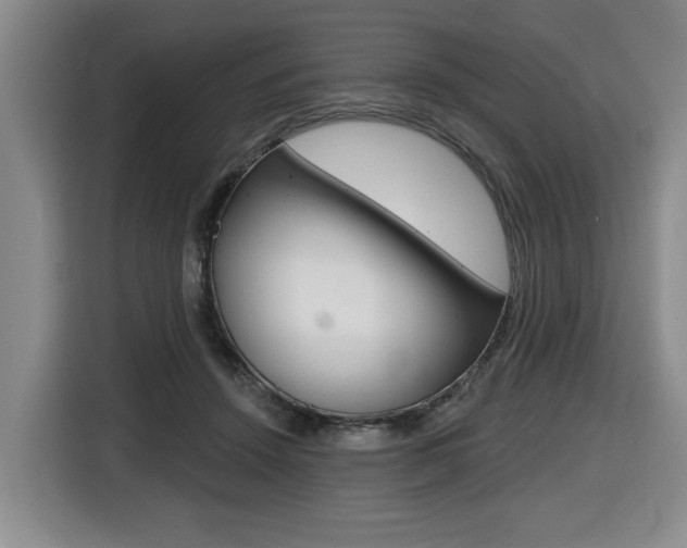 X0000116510456200912090950