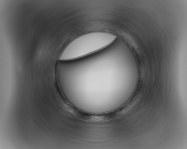 X0000116510457200912090950