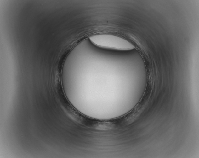 X0000116510459200912090950