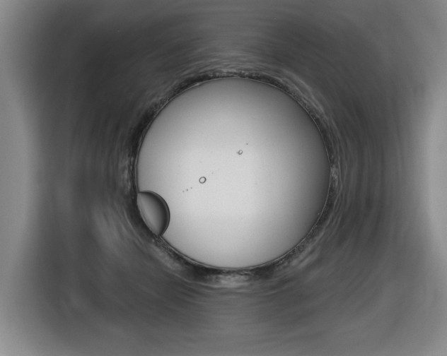X0000116510462200912090951
