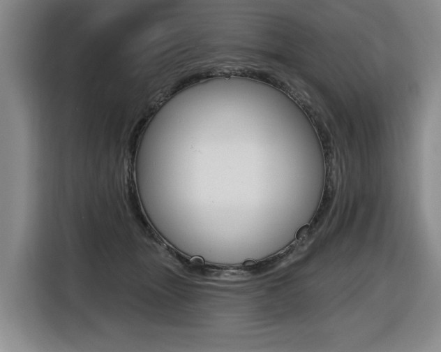 X0000116510463200912090951